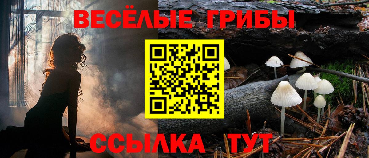 Павлово  Галлюциногенные грибы Cubensis  Вход с VPN 